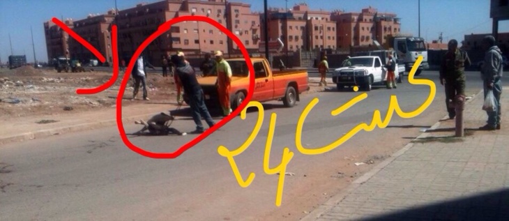 عاجل: عمال الإنعاش يشنون حملة على الكلاب الظالة بالمحاميد7 + صورة حصرية عاجل: عمال الإنعاش يشنون حملة على الكلاب الظالة بالمحاميد7 + صورة حصرية