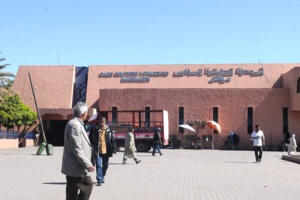 فؤاد الشادلي رئيساً للمجلس الاداري للمحطة الطرقية لمراكش فؤاد الشادلي رئيساً للمجلس الاداري للمحطة الطرقية لمراكش