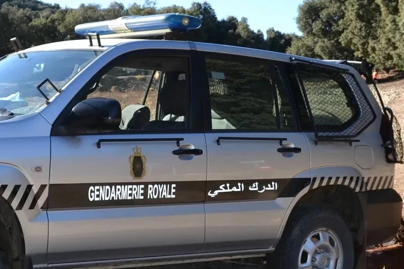 الدرك يضبط كمية من اللحوم لا تتوفر على ترخيص داخل شاحنة بمراكش