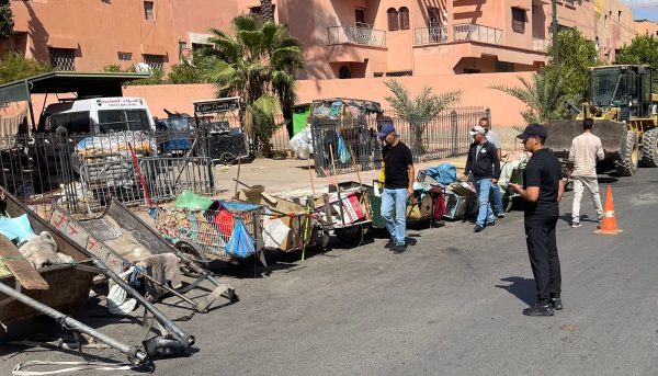 سلطات جليز تواصل حربها على العربات المجرورة + صور