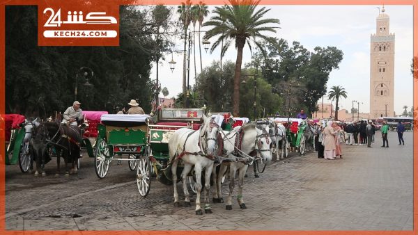 بالڤيديو.. مهنيو “الكوتشي” لـ كشـ24.. رافضين التهجير من جامع الفنا حيت حنا جزء من التراث ديالها