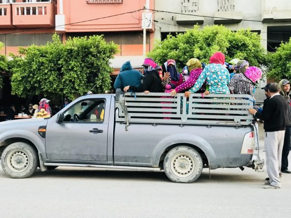 ملف معاناة العمال الزراعيين في إقليم اشتوكة أيت باها يصل البرلمان