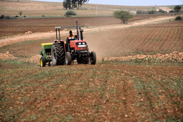 مطالب بدعم الفلاحين المتضررين من تأخر التساقطات المطرية