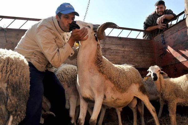 الحكومة تدخل على خط جدل “إلغاء عيد الأضحى”