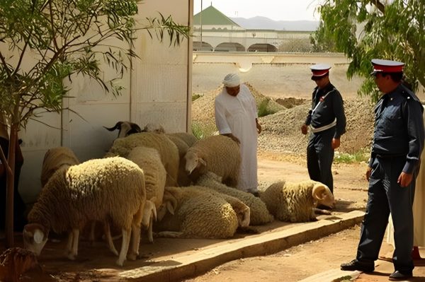 درك بلفاع يوقف بعصابة “فراقشية”