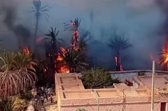توقيف 4 قاصرين على خلفية حريق واحة تغجيجت نواحي كلميم