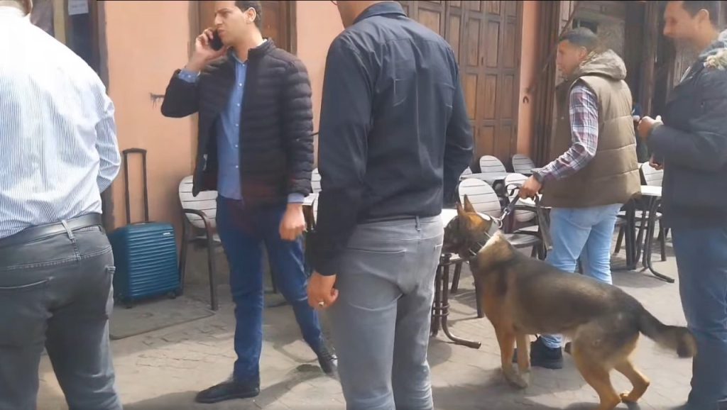 حقيبة مشبوهة تستنفر أمن مراكش