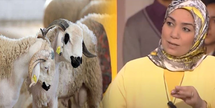 المرابطي لـكشـ24: يجب خلق معنى جديد للعيد داخل الأسر المغربية في غياب الأضحية