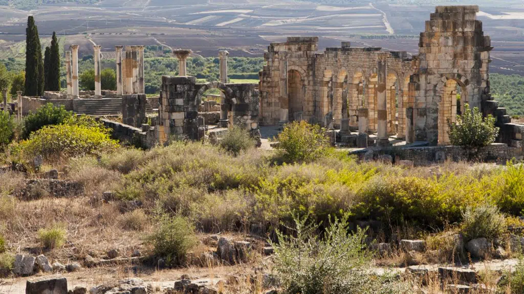 وليلي تتجدد.. مشروع لتهيئة أحد أبرز المعالم الأثرية بالمغرب