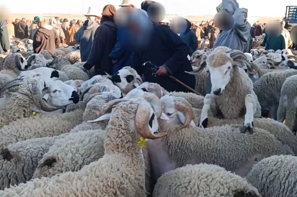 عجيب أمرنا!.. حرج رُفع بقرار حكيم وأُعيد بـ”لهطة جماعية”