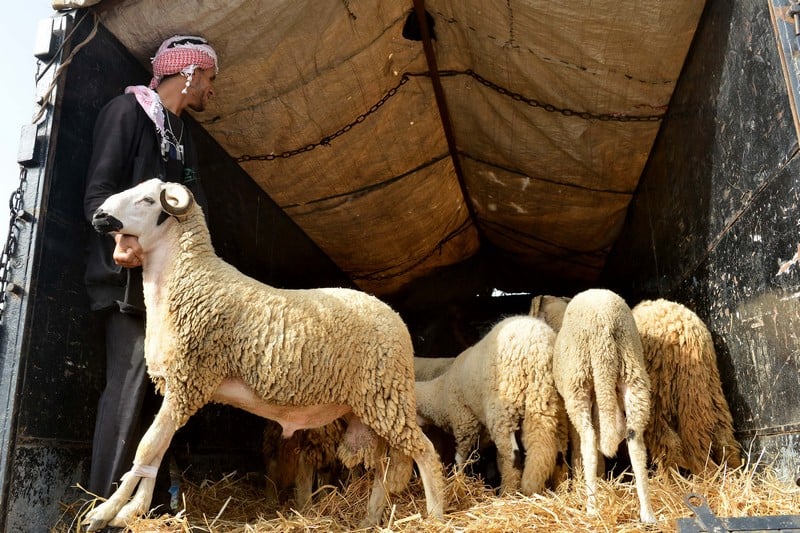 اجتماع مغلق وعاجل للداخلية بخصوص عيد الأضحى