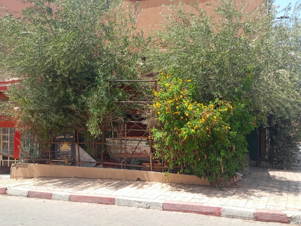 بالصور.. تواصل مظاهر العشوائيات واحتلال الملك العمومي يساءل سلطات الداوديات