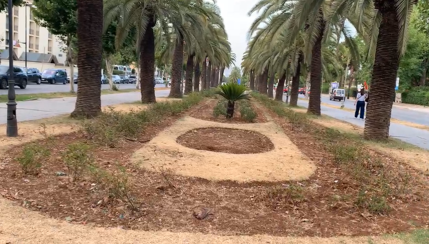 مساحات خضراء تواجه “الموت البطيء” بفاس وغموض يكتنف ميزانيات ضخمة للصيانة