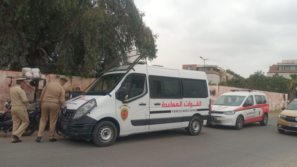 بهدف حماية القطيع الوطني.. حجز دفعة جديدة من “النعاج” بمراكش+ صور
