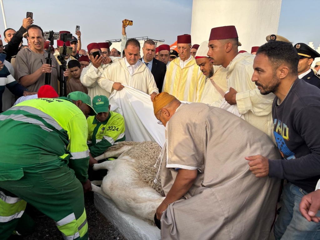 حصري.. ماشي غير الوالي .. “خروف العيد” يجر مسؤولين بمراكش للتحقيق