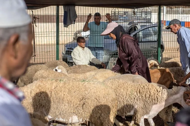 ماشي غير هاد العام.. هكذا استغنى المغاربة عن العيد الكبير 3 مرات منذ الاستقلال