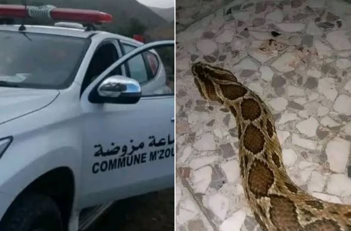 غياب الأمصال يهدد أرواح سكان شيشاوة
