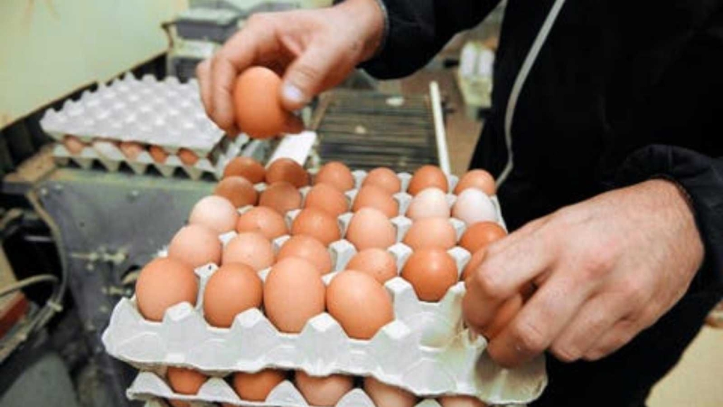 ارتفاع أسعار البيض يسائل وزير الفلاحة