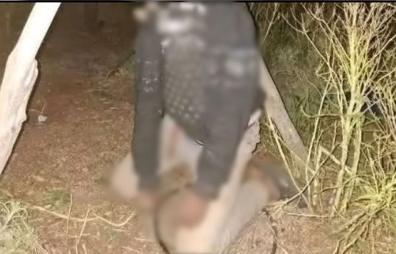لجنة الحقيقة والمساءلة تطالب بفتح تحقيق شفاف ونزيه في مقتل “الراعي الصغير”