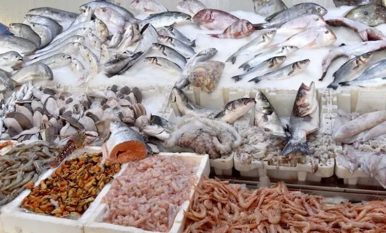 من بينها المغرب.. روسيا تصدر 57 ألف طن من المنتجات البحرية نحو عدة أسواق دولية