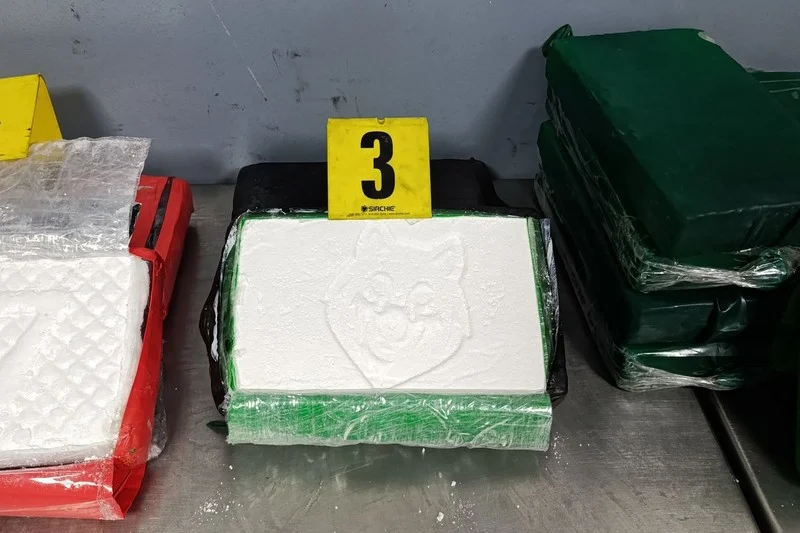إحباط محاولة تهريب 52 كيلوغراما من الكوكايين عبر ميناء طنجة المتوسط