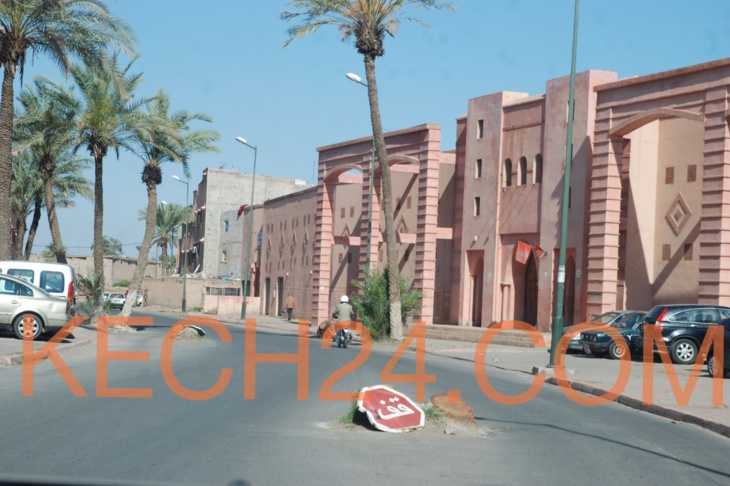 قف! جدوع النخيل تهدد حياتك بمراكش قف! جدوع النخيل تهدد حياتك بمراكش