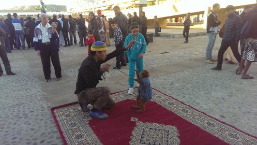 بالصور : تدشين 