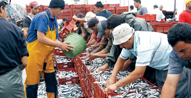 هذه رتبة المغرب ضمن منتجي السمك في العالم