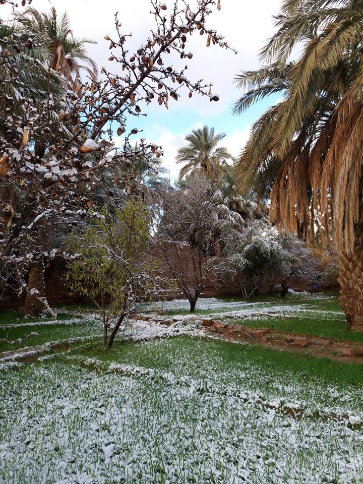 ألبوم صور: الثلوج ترسم لوحات جميلة في مشاهد نادرة بالسهول والواحات والمدن المغربية