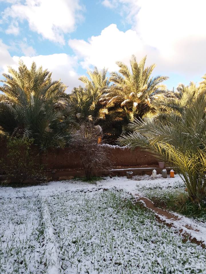 ألبوم صور: الثلوج ترسم لوحات جميلة في مشاهد نادرة بالسهول والواحات والمدن المغربية