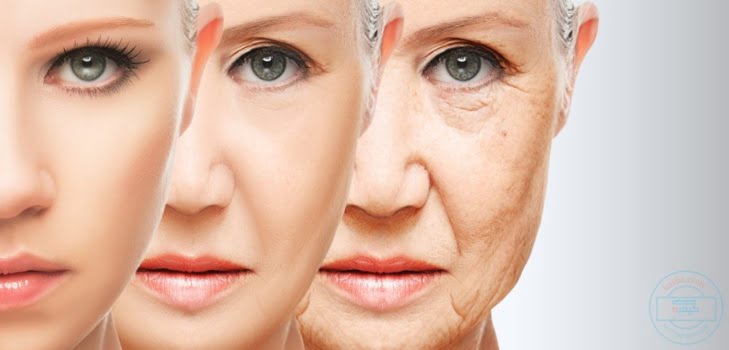 العلماء يكشفون سبب الشيخوخة المبكرة