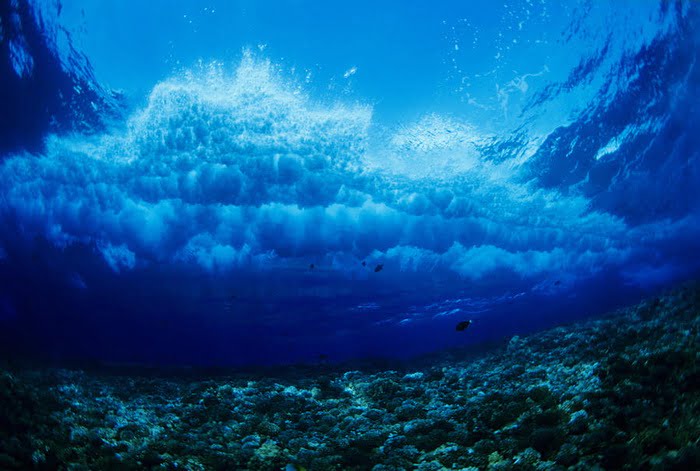 العلماء يلاحظون انخفاضا كارثيا في مستويات الأوكسيجين في المحيطات
