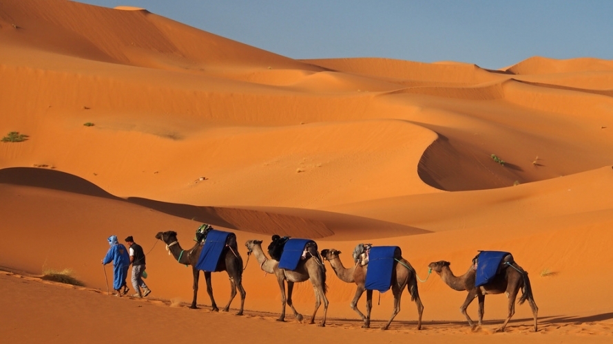موريتانيون ومغاربة يدعون إلى إحياء الطرق التجارية 