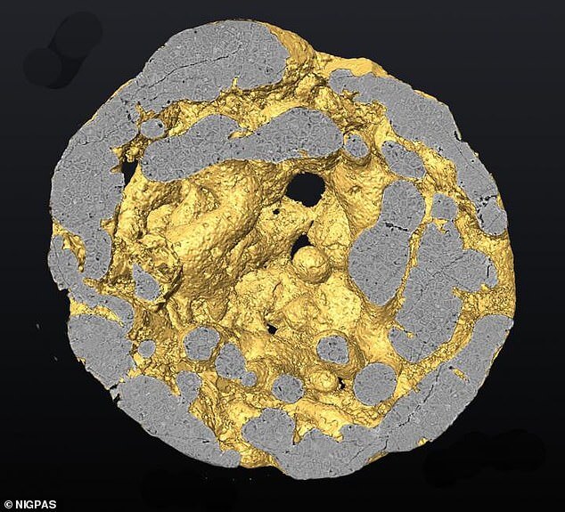 اكتشاف غامض عمره 609 ملايين سنة يثير جدلا بين العلماء! 