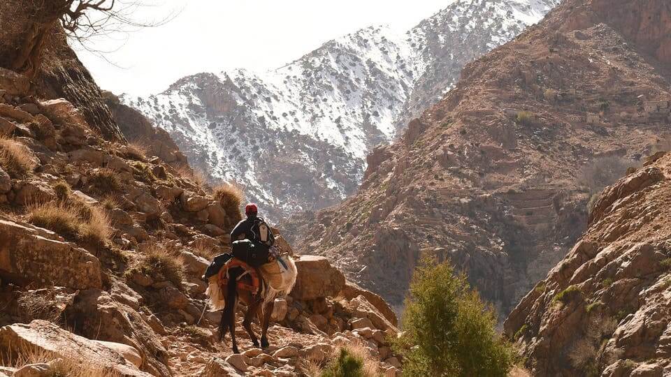  ناسا تنشر صورة فريدة لجبال الأطلس 