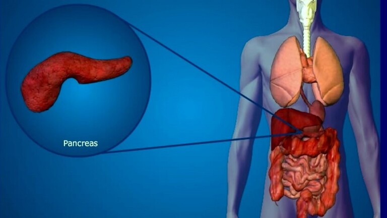 الأعراض الرئيسية لالتهاب وأمراض البنكرياس 