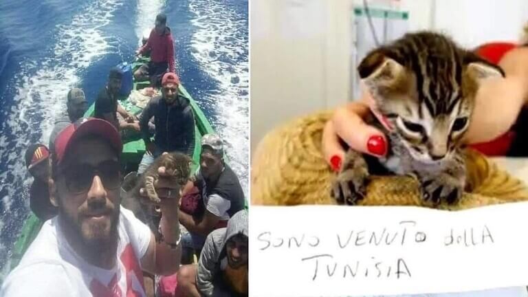 نجاح قطة تونسية بالهجرة إلى إيطاليا.. والسلطات تضعها في الحجر! 