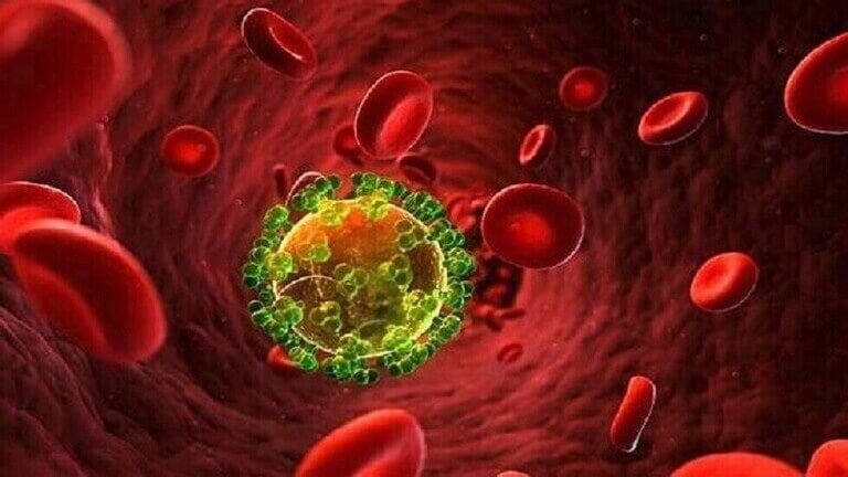 اكتشاف جديد يوضح كيف يخفي فيروس نقص المناعة نفسه من العلاج 